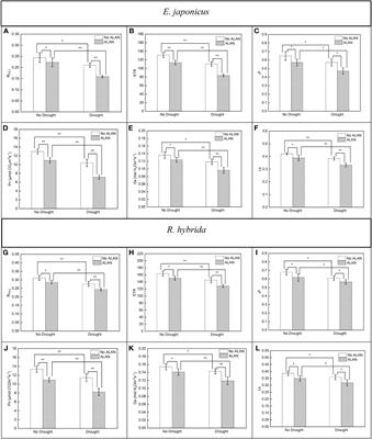 Effects of artificial light at night and drought on the photosynthesis and physiological traits of two urban plants